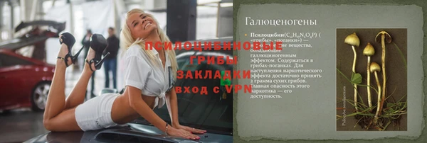 дмт Алексеевка