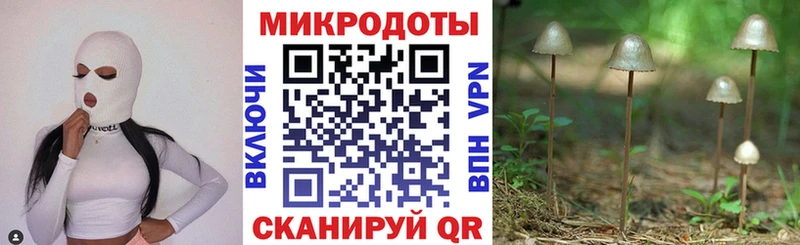 как найти закладки  Петрозаводск  OMG ТОР  Галлюциногенные грибы MAGIC MUSHROOMS 